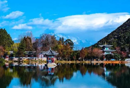 黑龍江省濕地旅游產(chǎn)品開發(fā)的機遇、挑戰(zhàn)與路徑分析